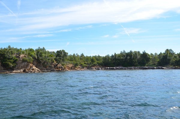 Plage de la Pointe du Pellegrin — Bormes-les-Mimosas