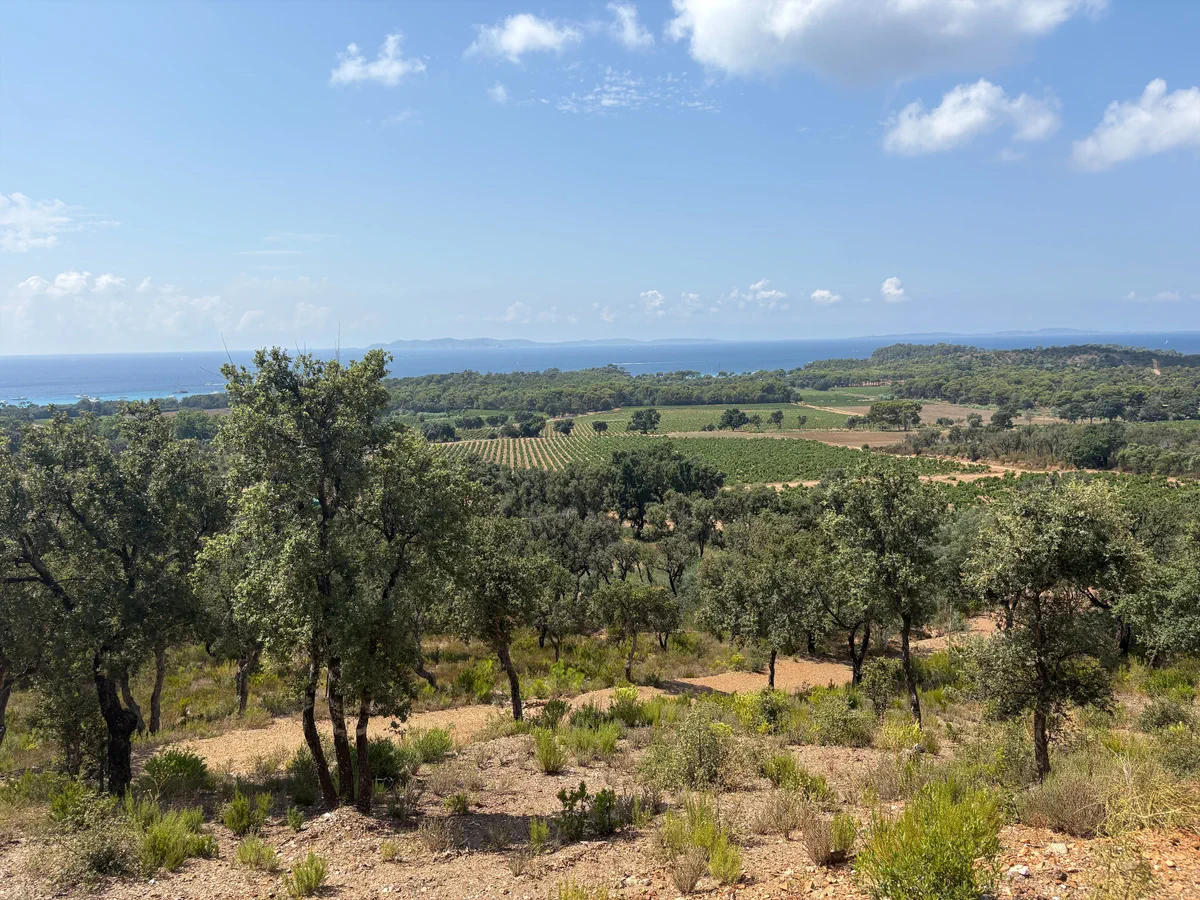 Vue sur le parcours de randonnée du Trapan