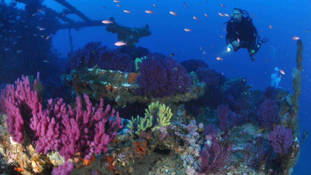 Exploration sous-marine en Méditerranée