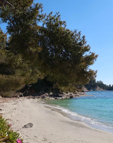 L’Éléphant — Le Lavandou