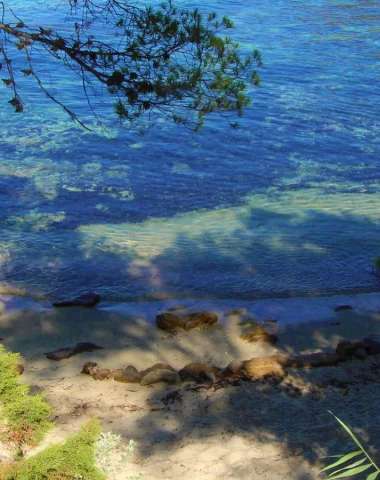 Le Rossignol — Le Lavandou