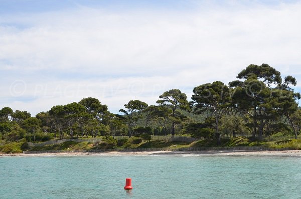 Plage de la Vignasse — Bormes-les-Mimosas