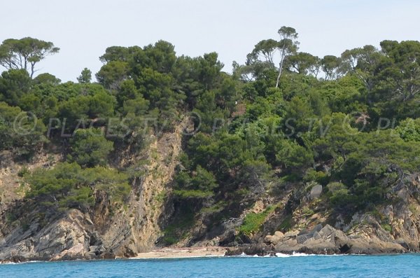 Crique de Brégançon — Bormes-les-Mimosas