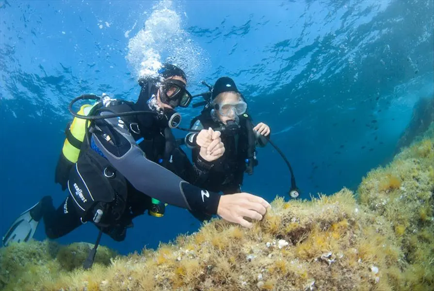 Plongeurs explorant les fonds marins de Bormes