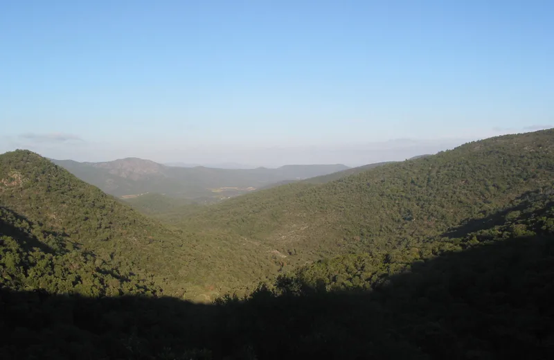 Vue depuis la randonnée de la Forêt du Dom