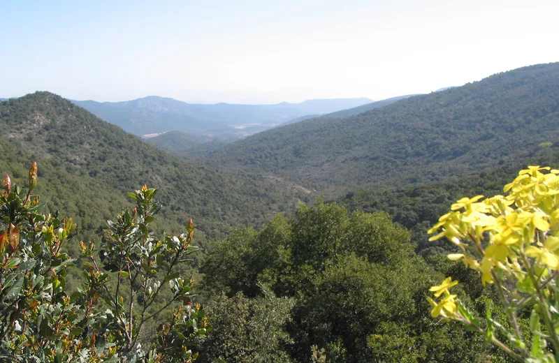 Vue depuis la randonnée des Hauts de Bormes