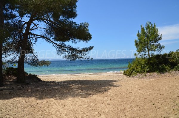 Plage du Pellegrin — Bormes-les-Mimosas