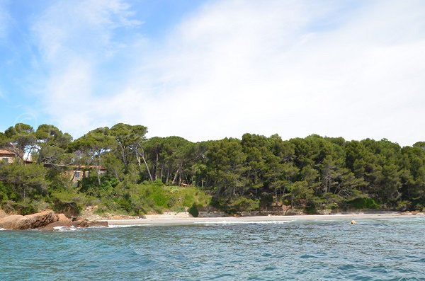 Plage de la Reine Jeanne - Malherbe — Bormes-les-Mimosas